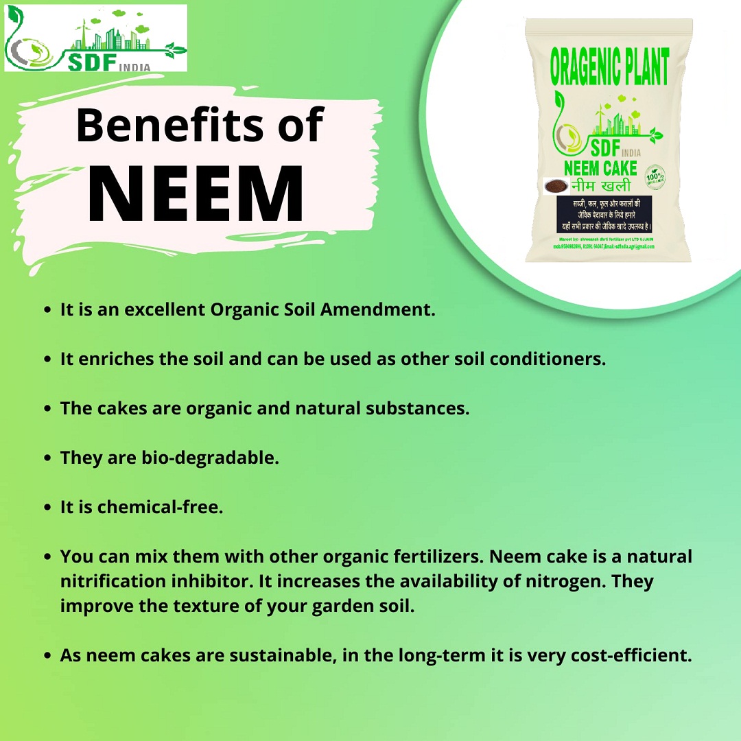 6077 SDFindia pure & Organic Neem Cake Powder  (1kg )(SDF1NCP)(6077_Neem cake_1kg)