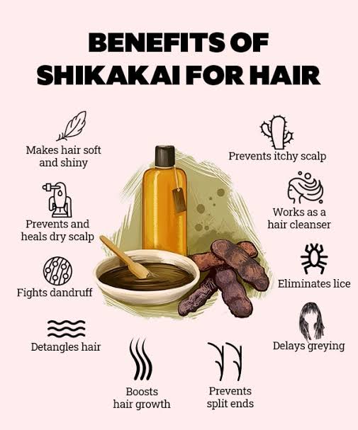 SDF INDIA 100%Organic Shikakai Powder | Acacia concinna for Hair Care(100Gm)