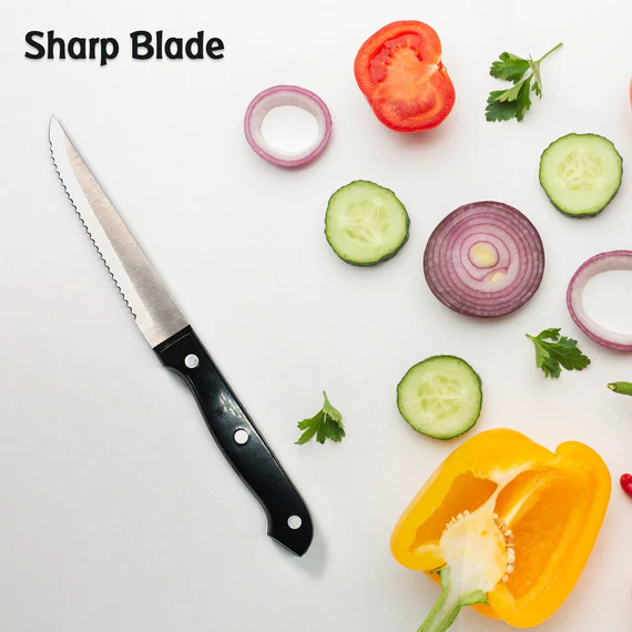 2130 Stainless Steel Steak and Kitchen Knife with easy grip Handle (23cm)