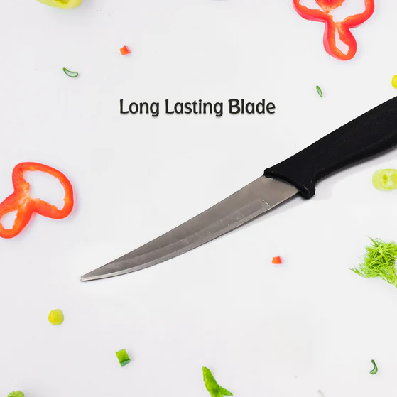 2386 Stainless Steel knife and Kitchen Knife with Black Grip Handle (21 Cm )