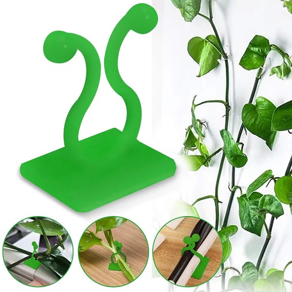 30 Pcs Vine Plant Climbing Clips – Large Invisible Wall Hooks for Plant Support & Binding