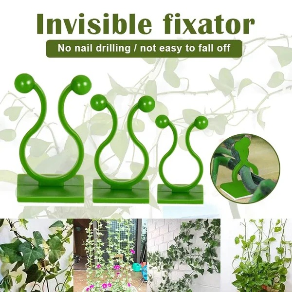 30 Pcs Vine Plant Climbing Clips – Large Invisible Wall Hooks for Plant Support & Binding