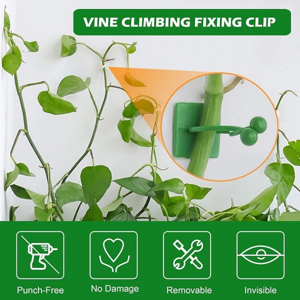 30 Pcs Vine Plant Climbing Clips – Large Invisible Wall Hooks for Plant Support & Binding