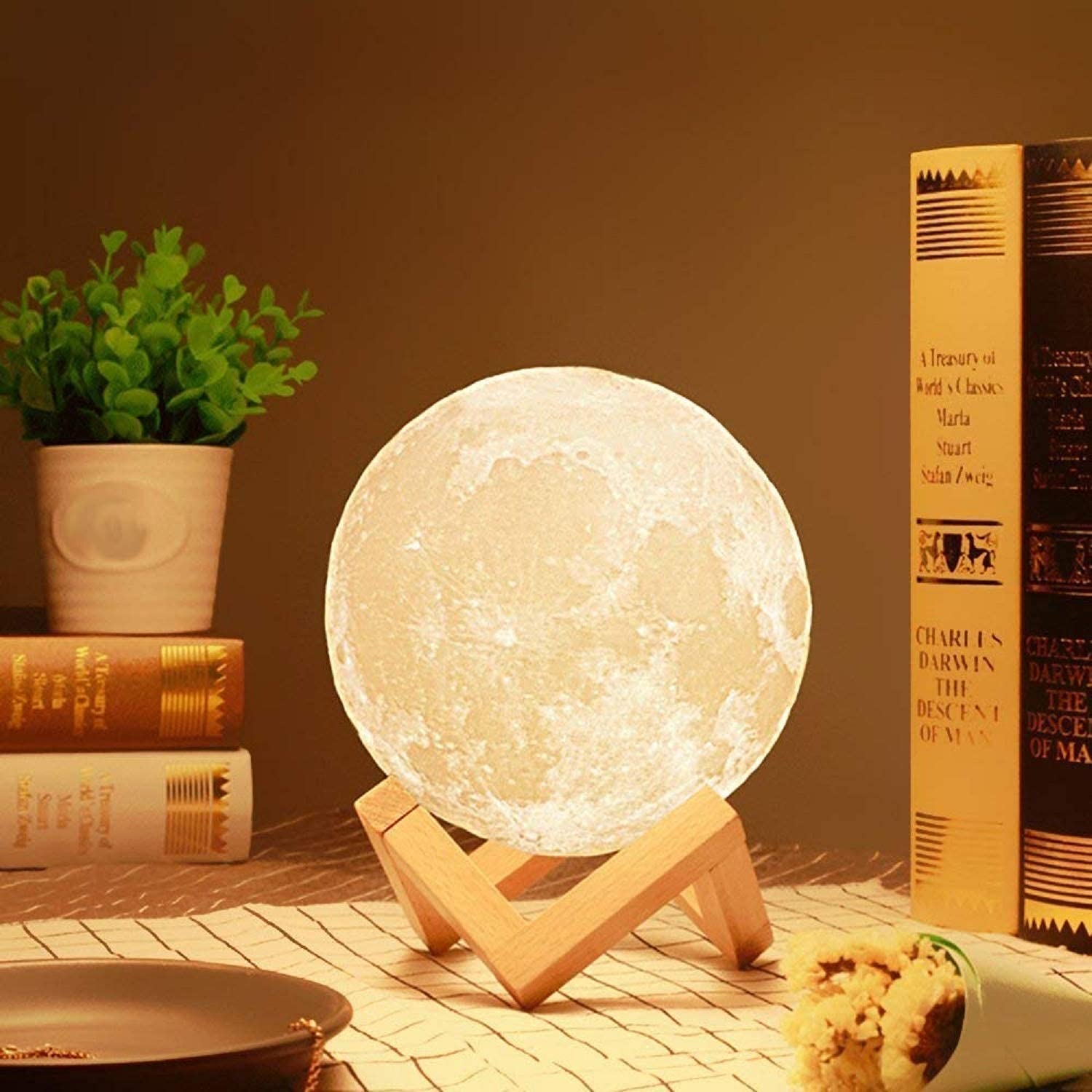 3D Moon Light Lamp