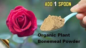 500gram soil less potting mix, 500gram bone meal powder 