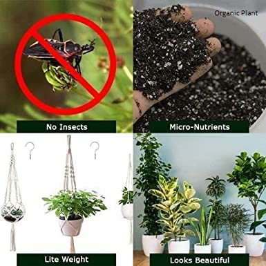 2KG Soil less potting  mixe for your garden plants 