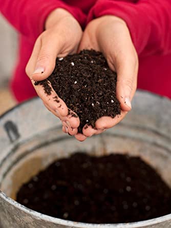 2KG Soil less potting  mixe for your garden plants 