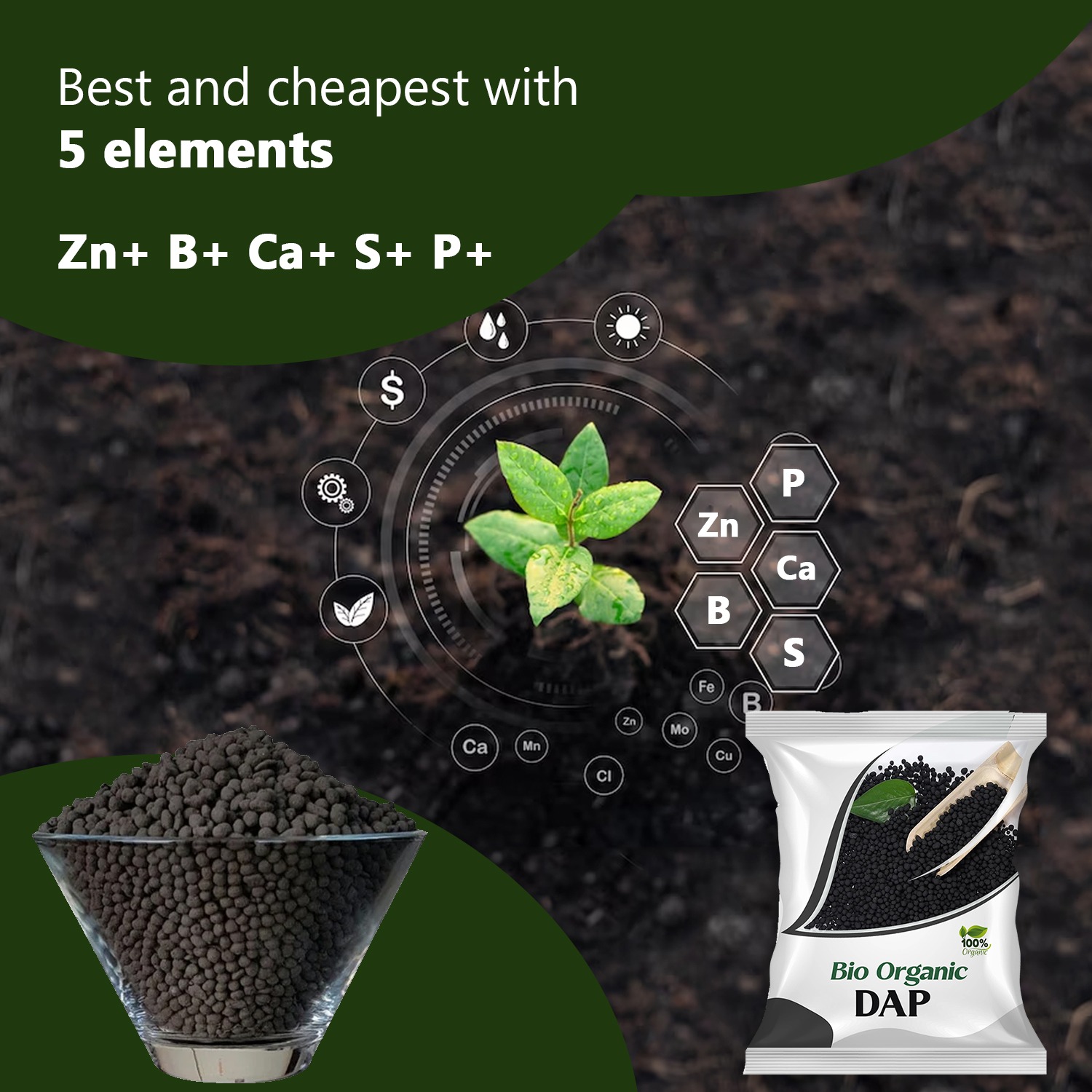 6005 SDF INDIA Bio Organic DAP Fertilizer for Crops ( 10 KG )(SDF10BOD)(6005_DAP_10KG)