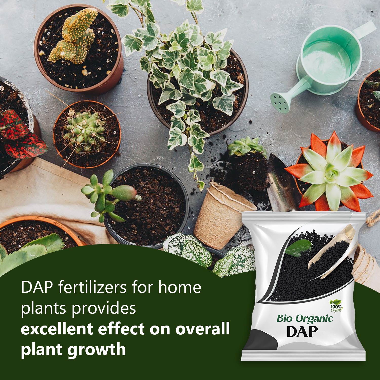 6009 SDF INDIA Bio Organic DAP Fertilizer for Crops ( 40 KG )(SDF40BOD)(6008_DAP_40KG)