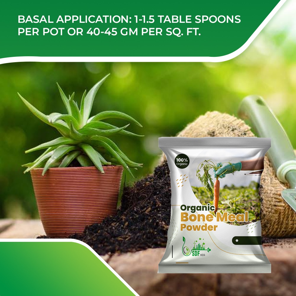 6032 SDF India Bone Meal for Plants Home Gardening | Steamed Bone Meal | Rich in Phosphorus and Calcium | Natural Plant Fertilizer| (1 KG )(SDF1BMF)(6032_bonemeal_1kg)