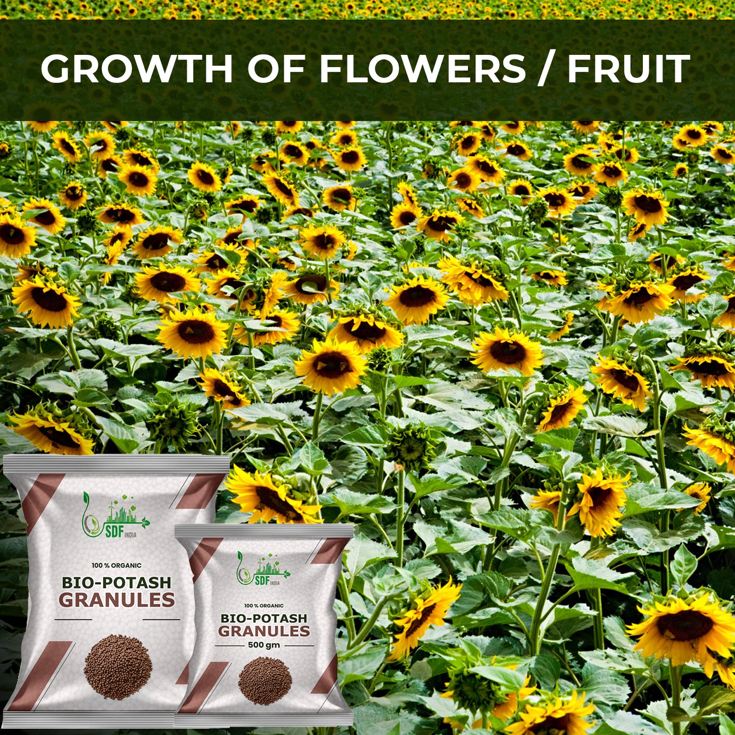6049 Bio Organic Potash | Essential Fertilizer for Gardening - 20 Kg | Granular Potash Fertiliser for Vegetables, Fruits, Garden Flowers, Agriculture Crops, Indoor & Outdoor Home Plants(20SDFPOTASH1)(6049_potash_20kg)	