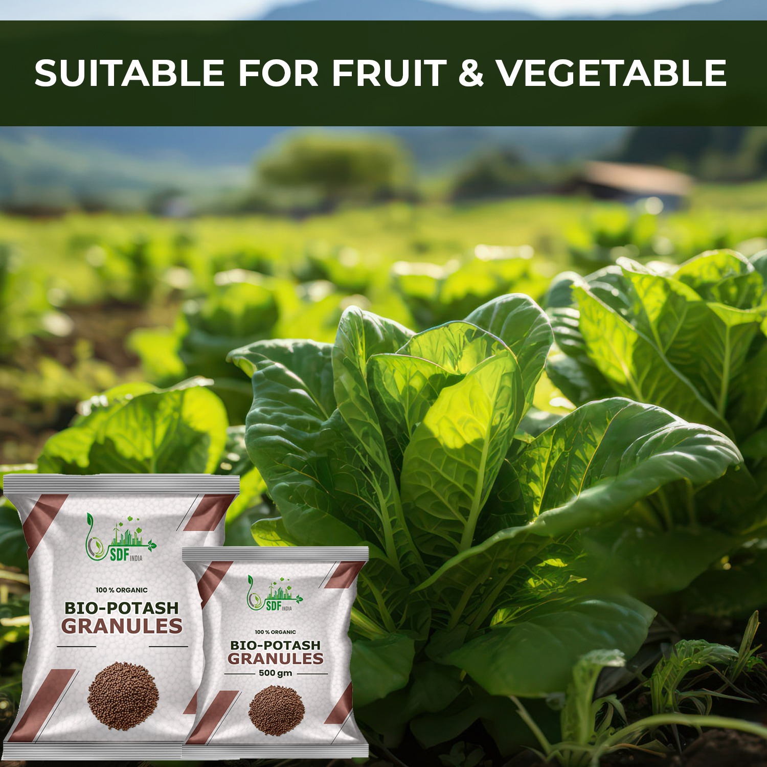 Bio Organic Potash | Essential Fertilizer for Gardening - 1 Kg | Granular Potash Fertiliser for Vegetables, Fruits, Garden Flowers, Agriculture Crops, Indoor & Outdoor Home Plants
