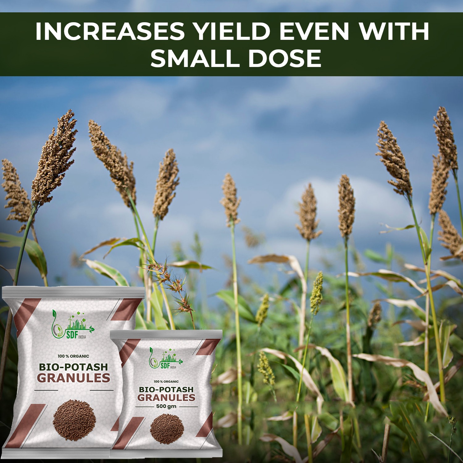 Bio Organic Potash | Essential Fertilizer for Gardening - 50Kg | Granular Potash Fertiliser for Vegetables, Fruits, Garden Flowers, Agriculture Crops, Indoor & Outdoor Home Plants