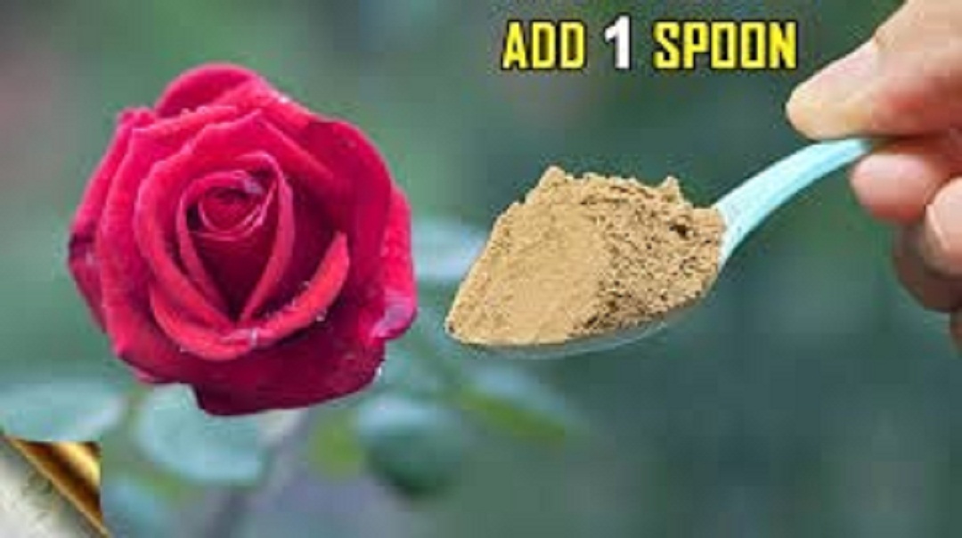 COMBO PACK OF 2 (5 Kg Super Vermicompost & 500 Grm Bone Meal Powder)