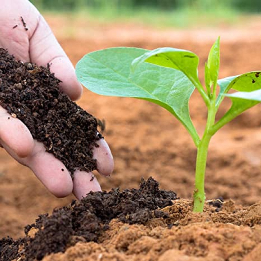 COMBO PACK OF 2 (5Kg Super VermiCompost & 500 Grm Rockphosphate)