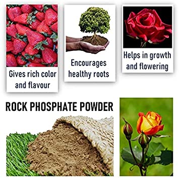 COMBO PACK OF 2 (5Kg Super VermiCompost & 500 Grm Rockphosphate)