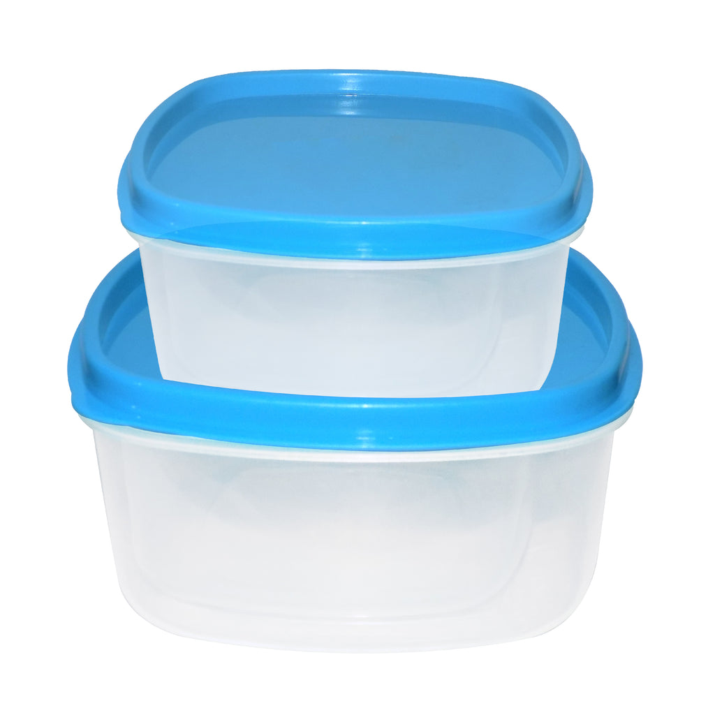 SDF INDIA  Airtight Kitchen Storage Container for Multipurpose Use   Set of 2