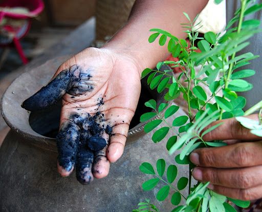 SDF INDIA Indigo Powder (Indigofera Tinctoria) Organic For Hair Pure Neel Powder For Natural Hair Colorant Black/Brown Hair & Beard Dye/Color (50Gm)