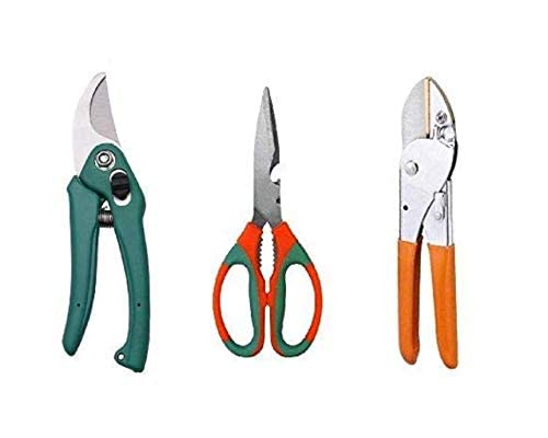 ORGANIC PLANT Garden Scissor, Garden Pruner, Garden Cutter Gardening Cut Tools (Set of 3)