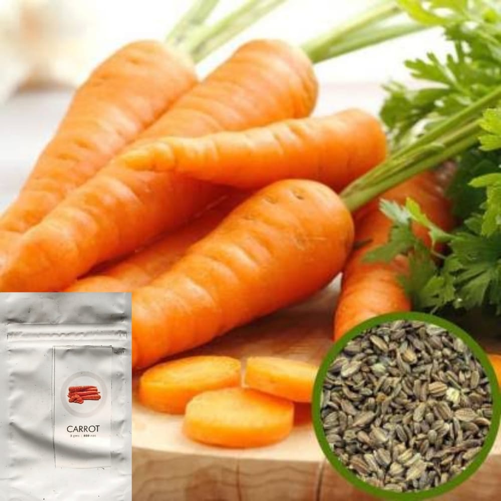 SDF INDIA CARROT SEED(800NOS)