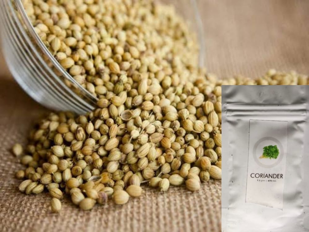 SDF INDIA CORIANDER SEED(750NOS)