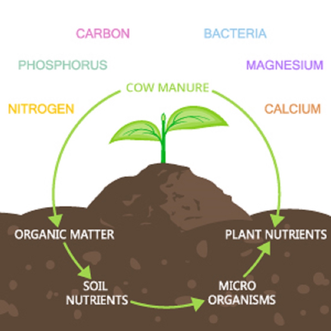 6069 SDF India Cow Dung Manure for Plants 1 KG(SDF1CDC)(6069_Cowdung_manure_1kg)