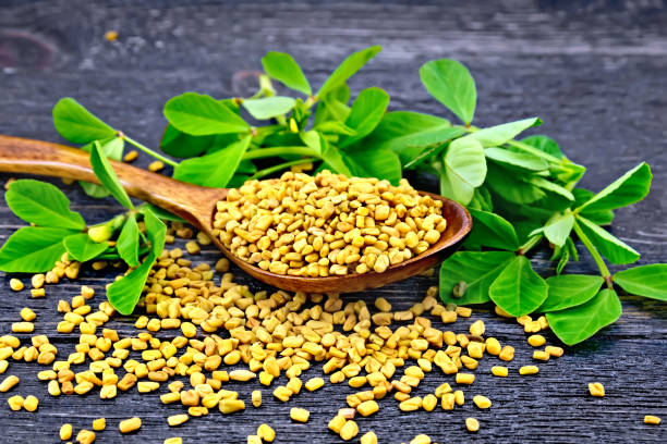 SDF INDIA FENUGREEK SEED(950NOS)