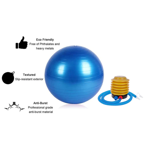 SDF INDIA HEAVY DUTY GYM BALL NON-SLIP STABILITY BALL WITH FOOT PUMP FOR TOTAL BODY FITNESS