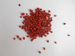 SDF INDIA REDRADISH SEED(600NOS)