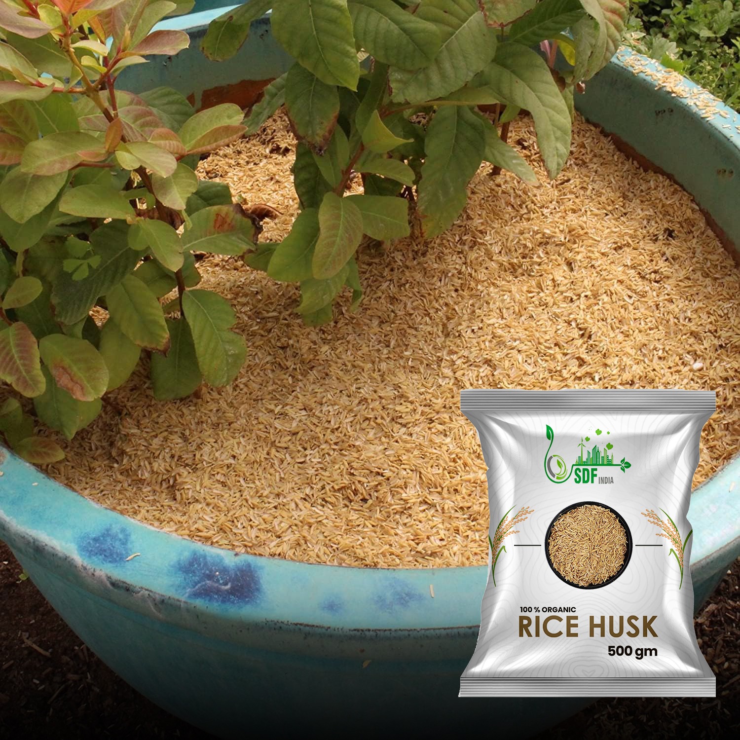 SDF INDIA Rice Husk for Gardening (5KG)