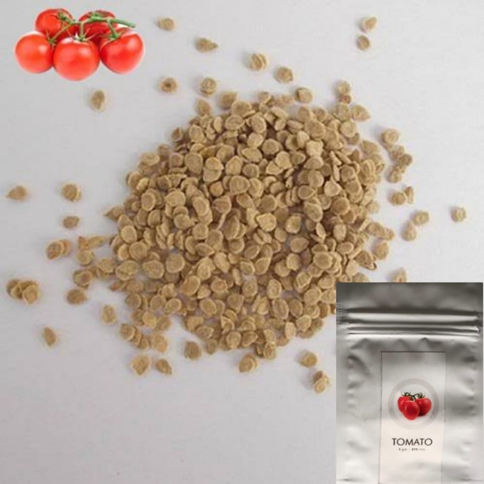 SDF INDIA TOMATO SEED(315NOS)