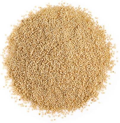 SDFINDIA WHITE AMARANTH SEED(6500NOS)