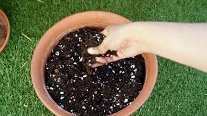 SOIL LESS POTTING MIX 5KG,,1KG NEEM CAKE POWDER,1KG BONEMEAL POWDER,1KG MUSTARD CAKE POWDER